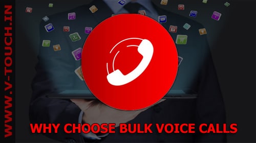 Best Bulk Voice SMS Company in Surat